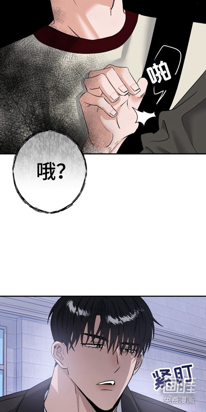 第52章：爱心便当