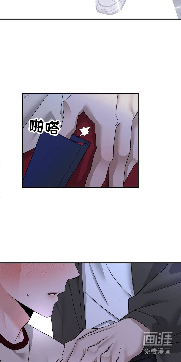 第52章：爱心便当