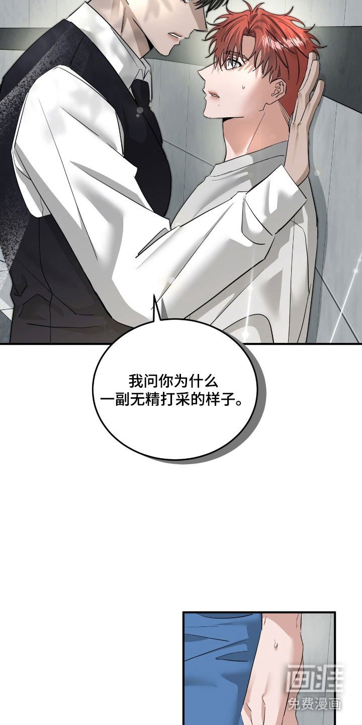 第70章：表白