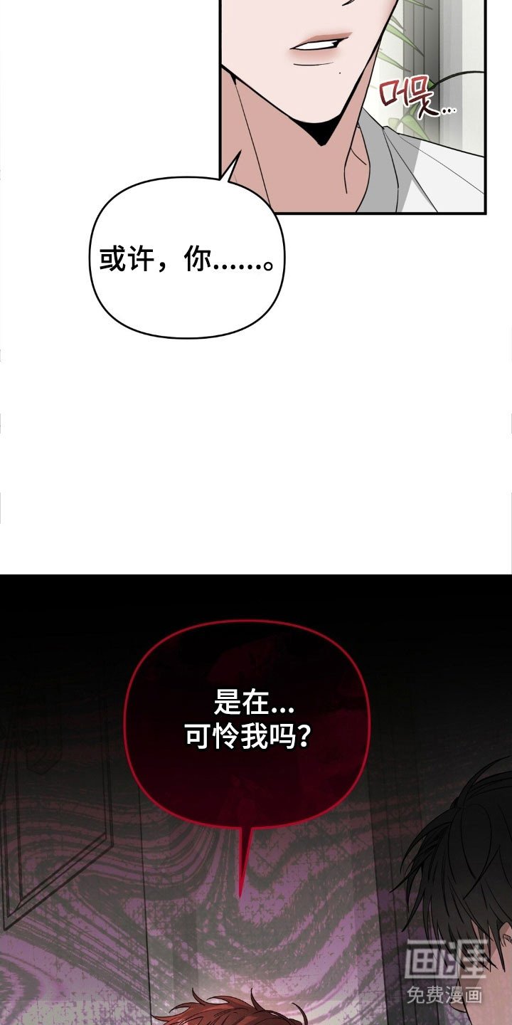 第78章：只是怜悯