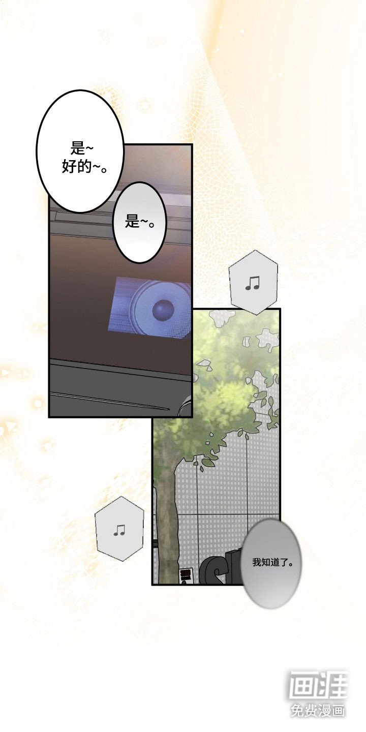 第80章：收到回复