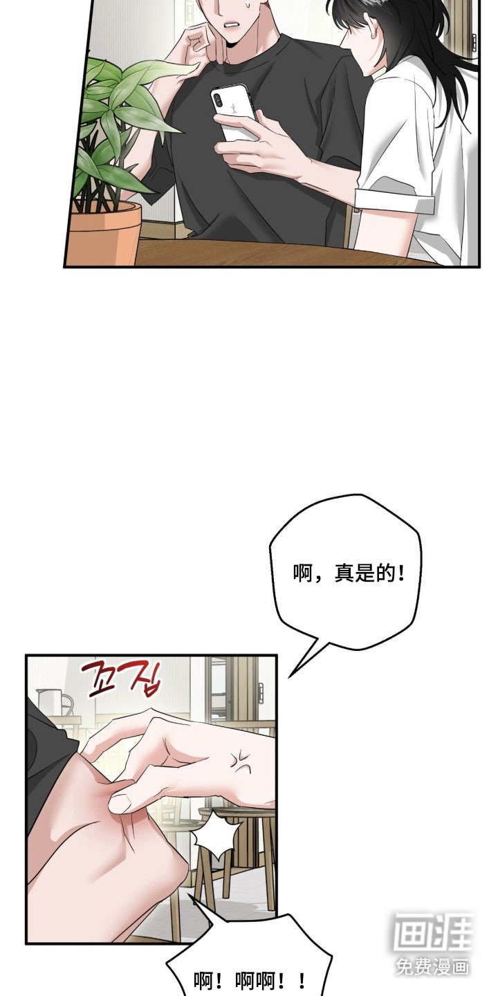 第86章：发布合照