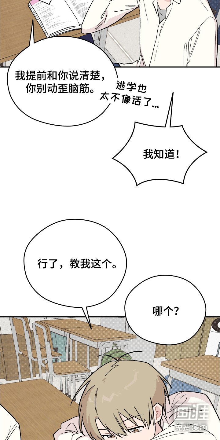 第19章：关系很好