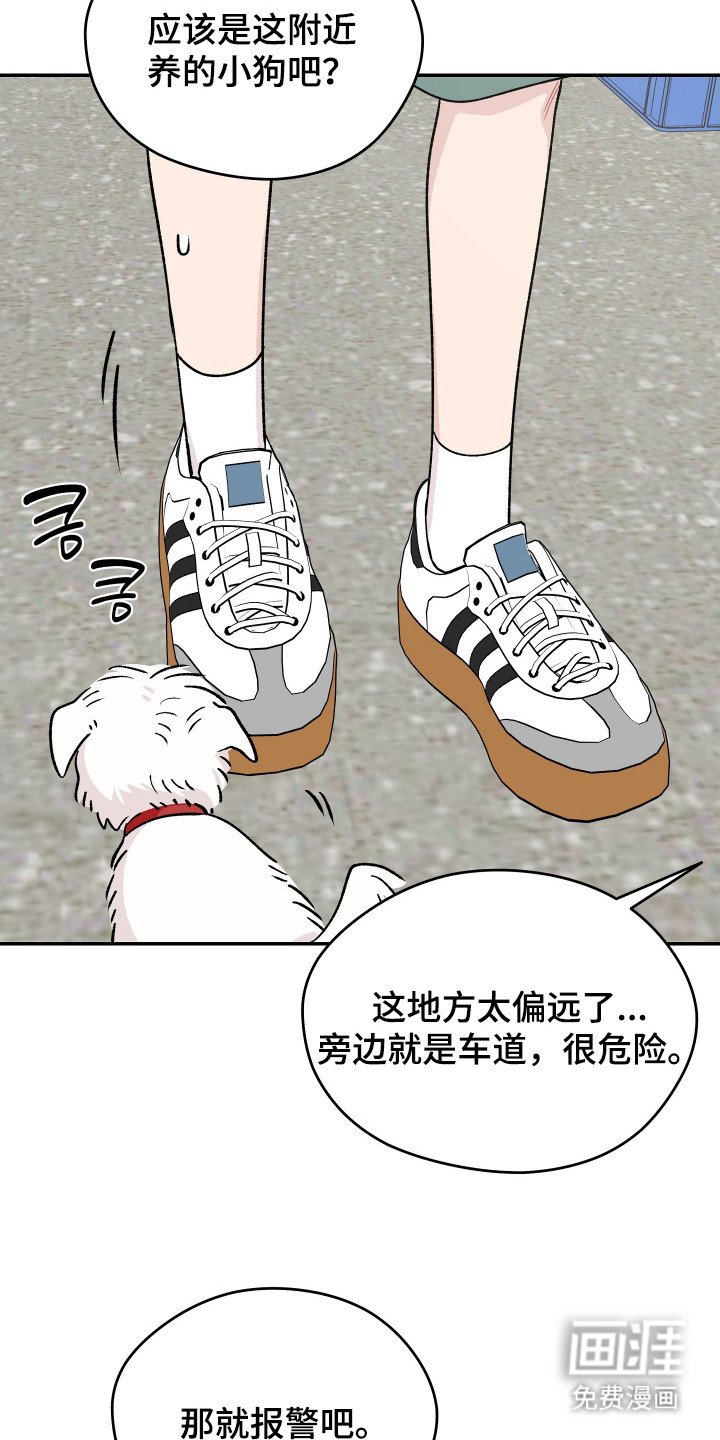 第23章：小狗
