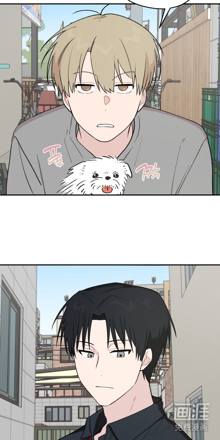 第23章：小狗