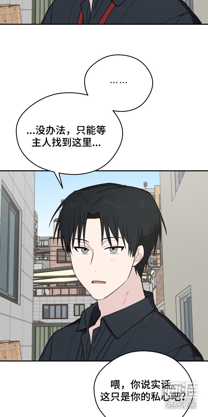 第23章：小狗