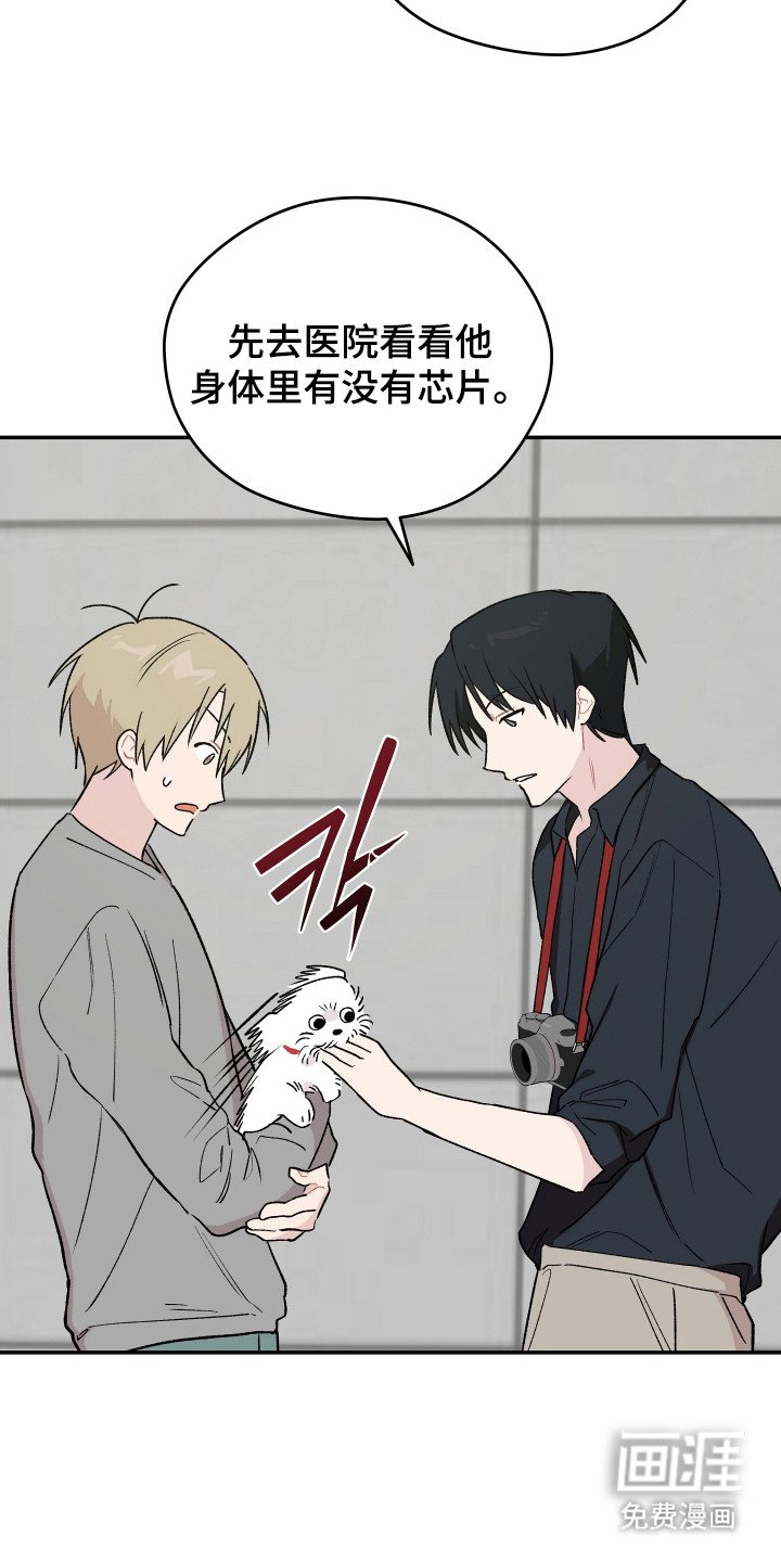 第23章：小狗