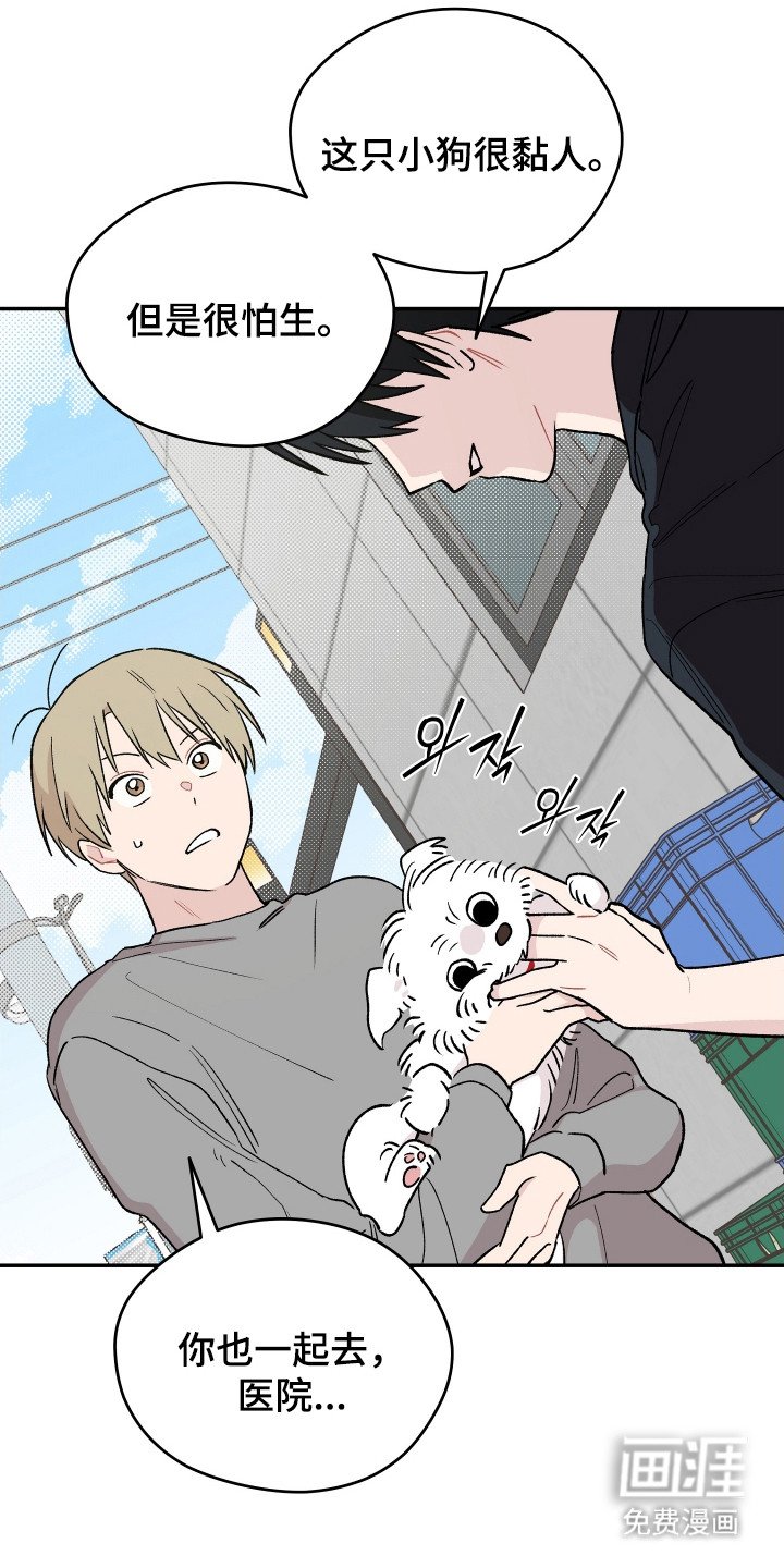 第23章：小狗