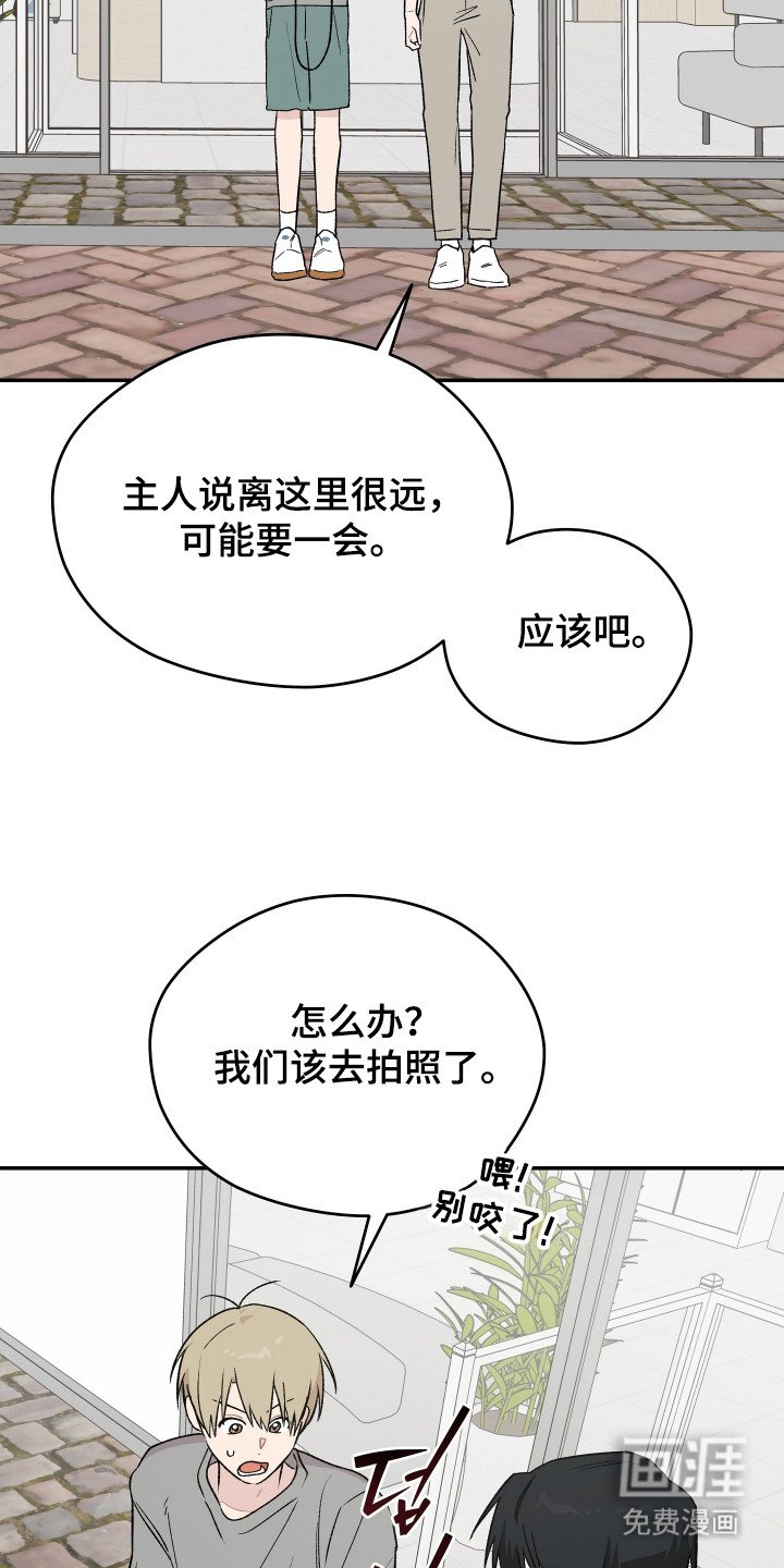第23章：小狗