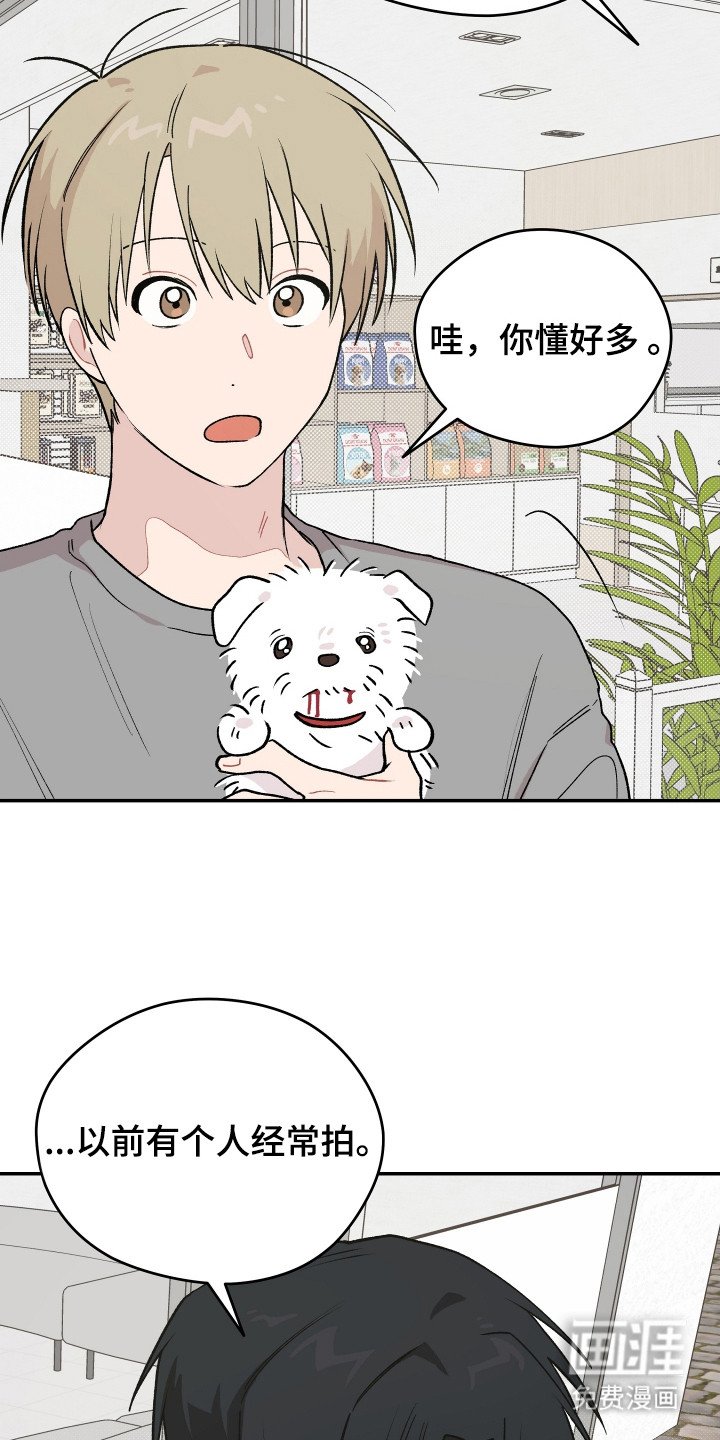 第23章：小狗