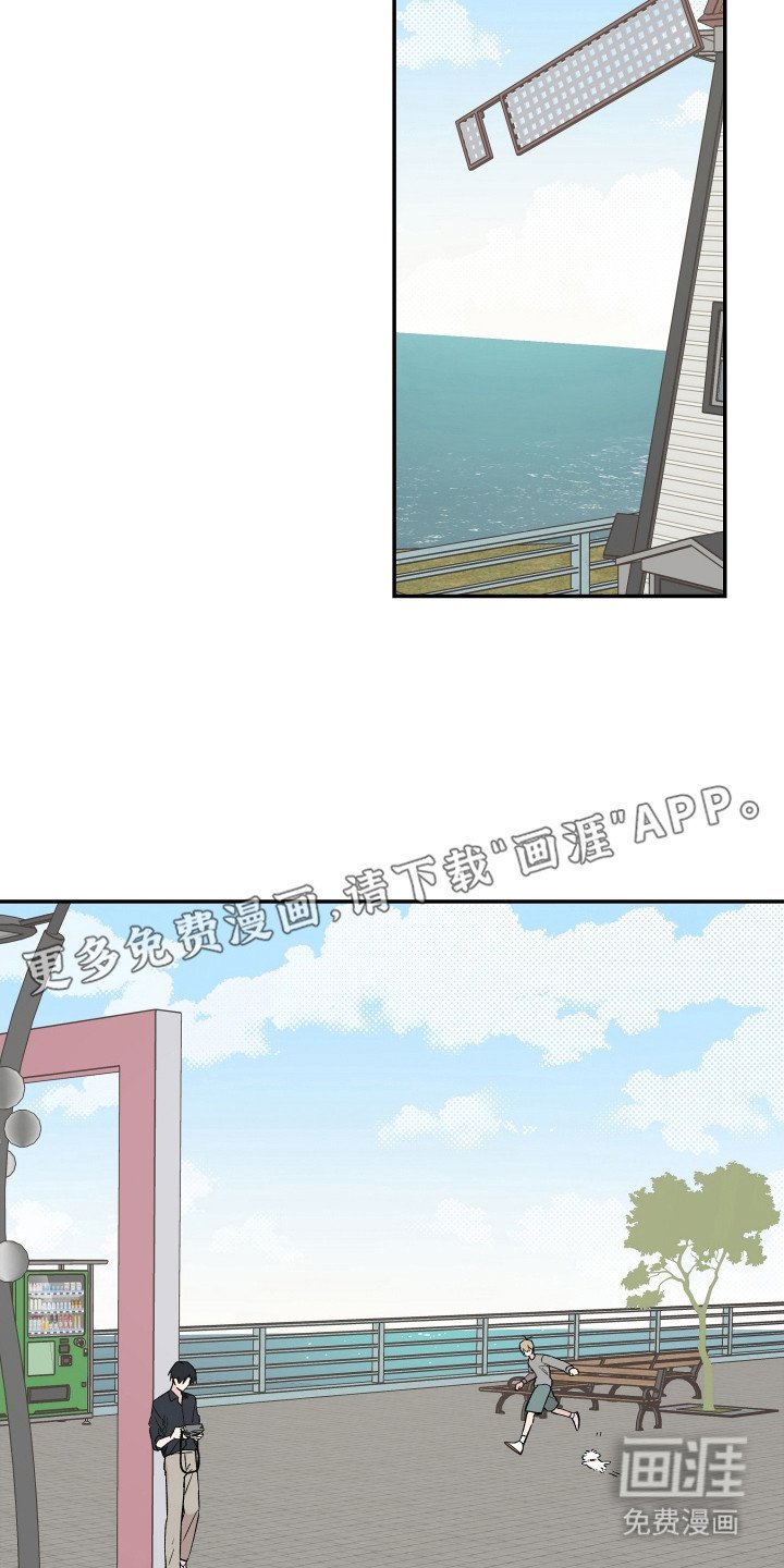 第23章：小狗