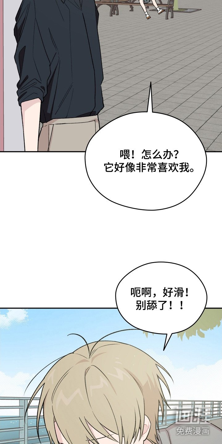 第23章：小狗