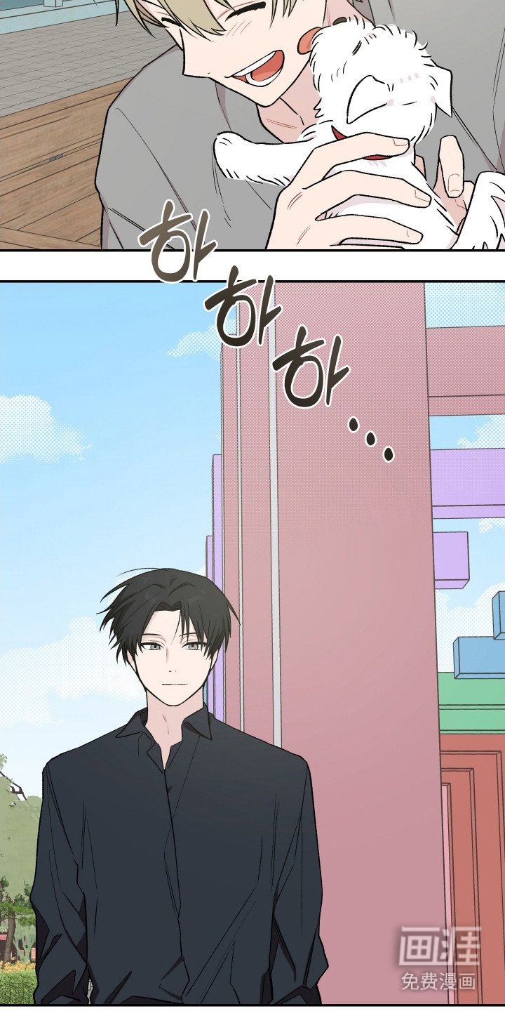 第23章：小狗
