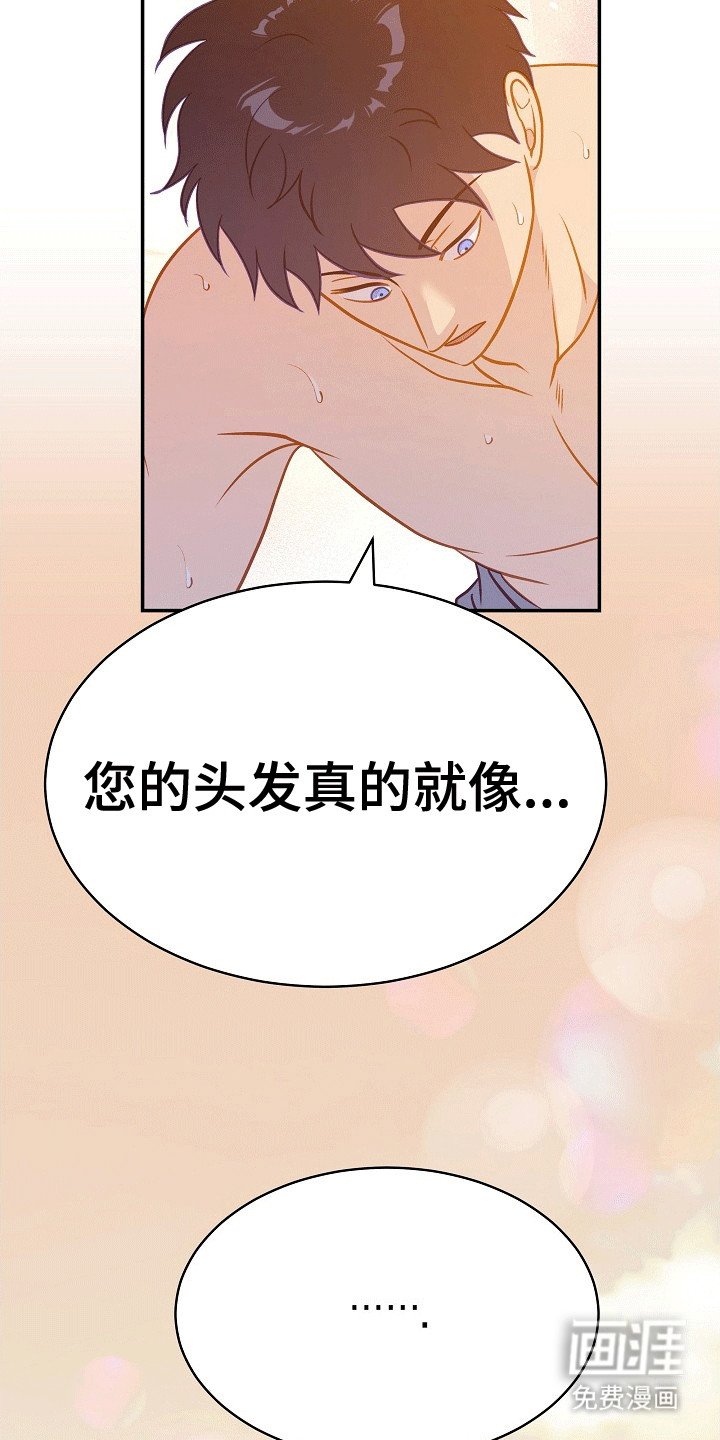 第28章：夸赞