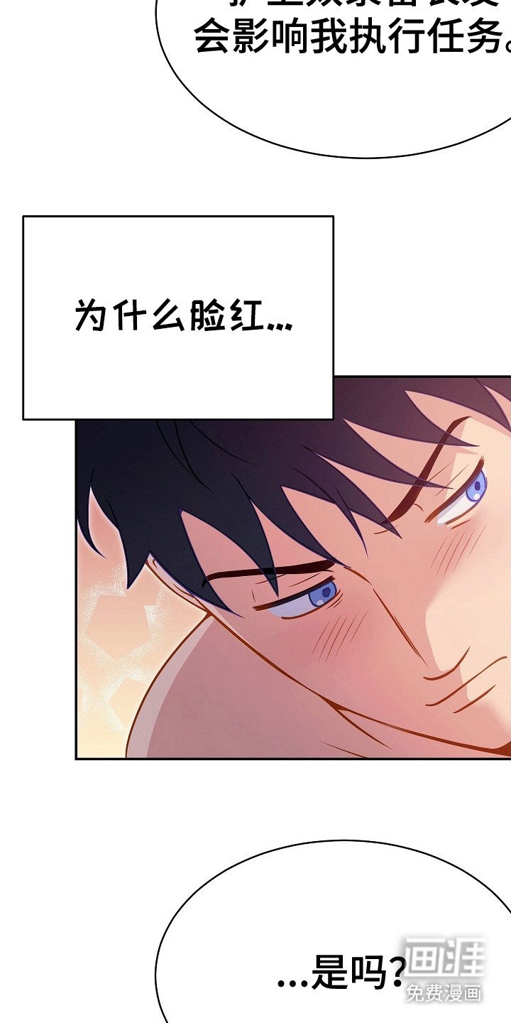 第29章：诅咒