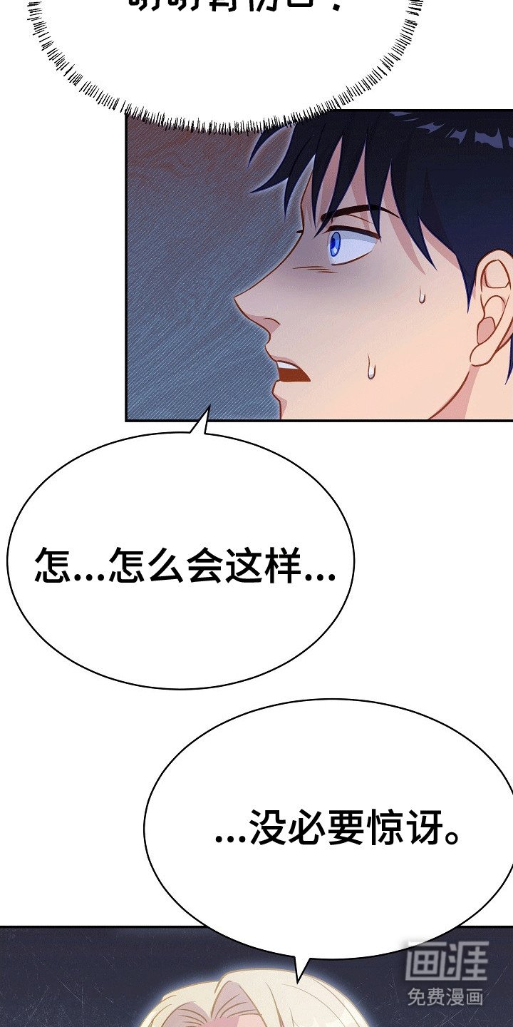 第29章：诅咒