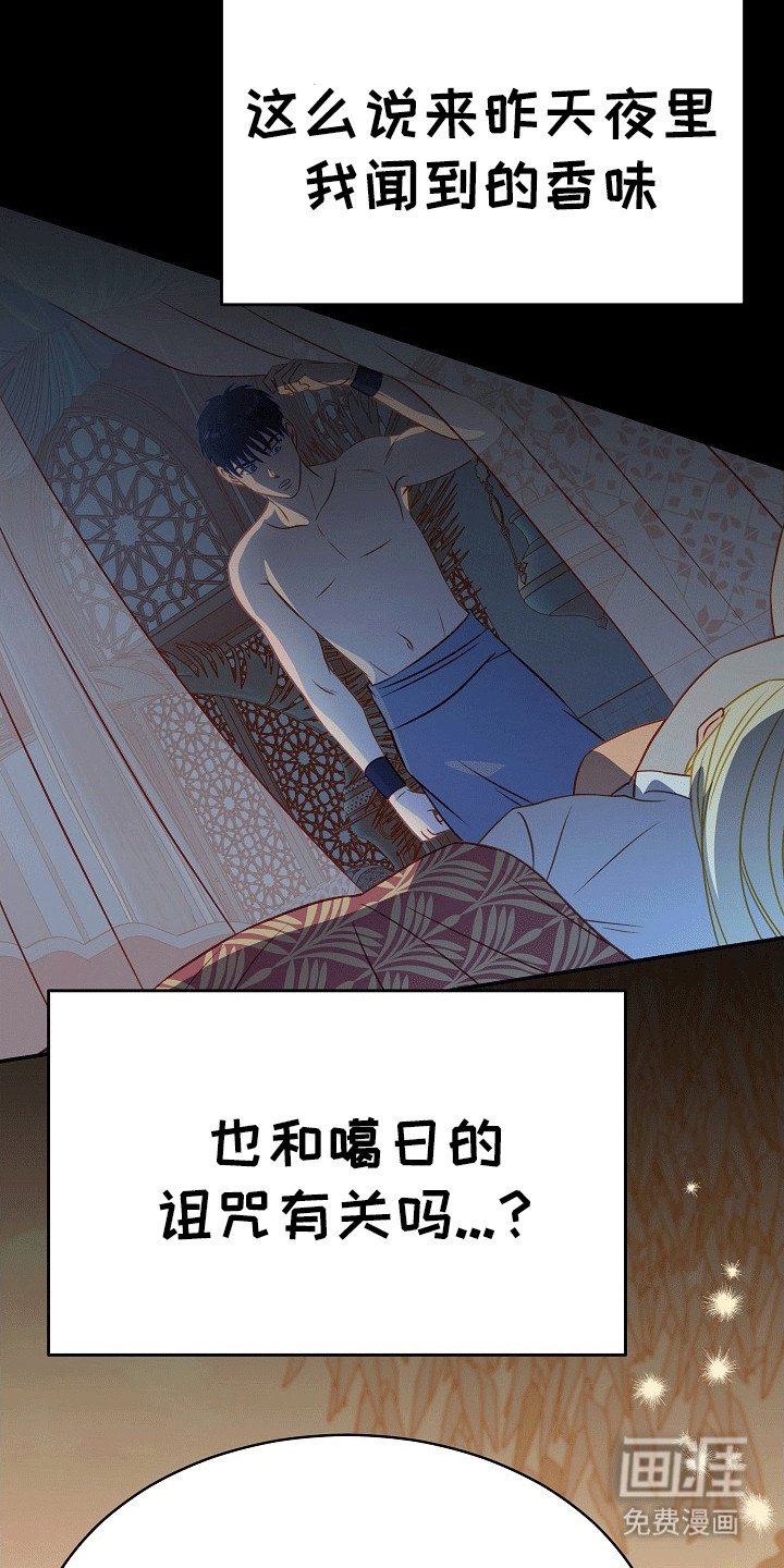 第29章：诅咒