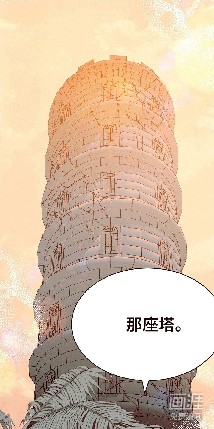第29章：诅咒