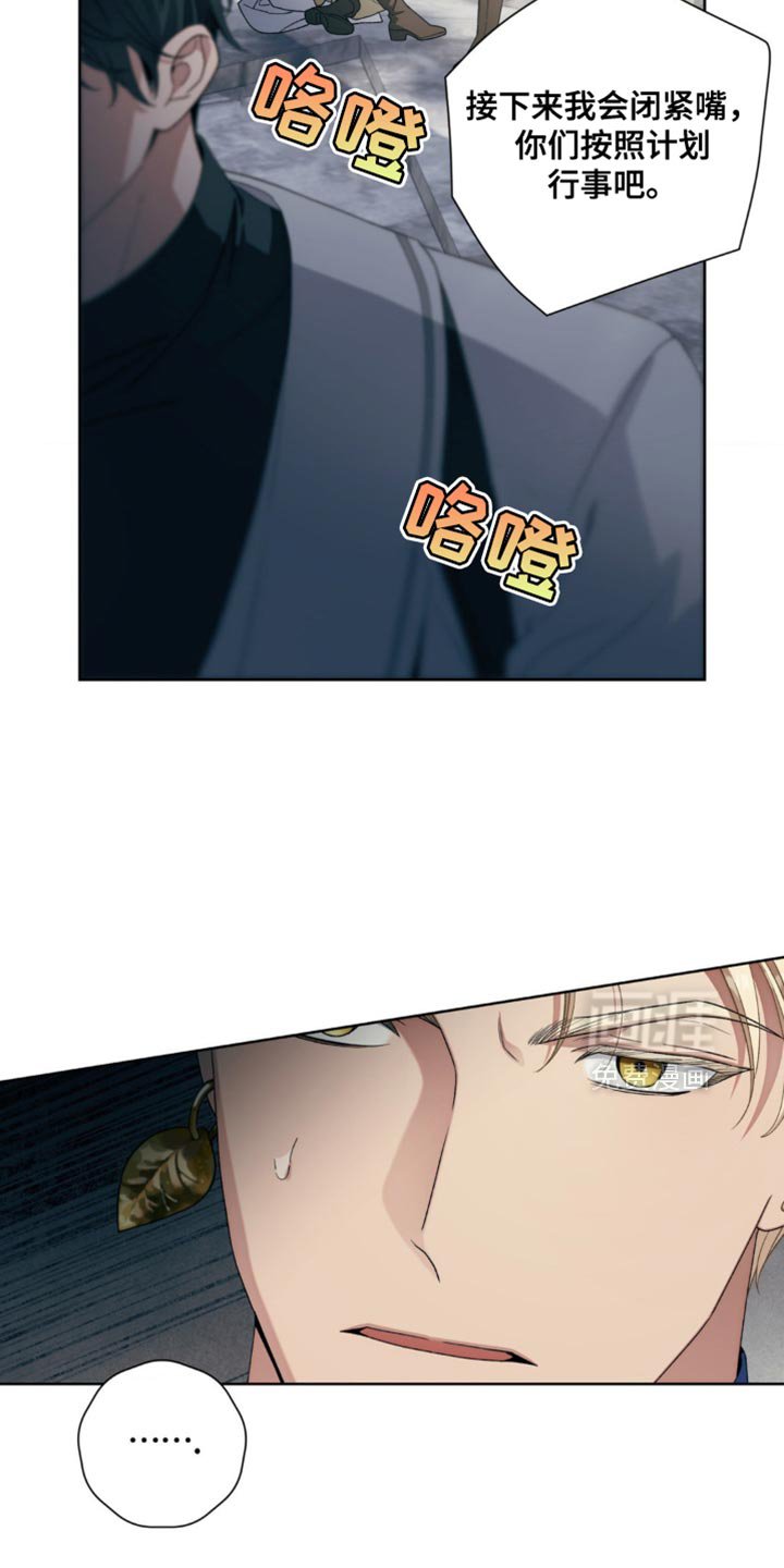 第11章：奇怪