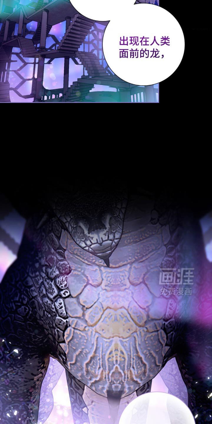第14章：我来给你答案