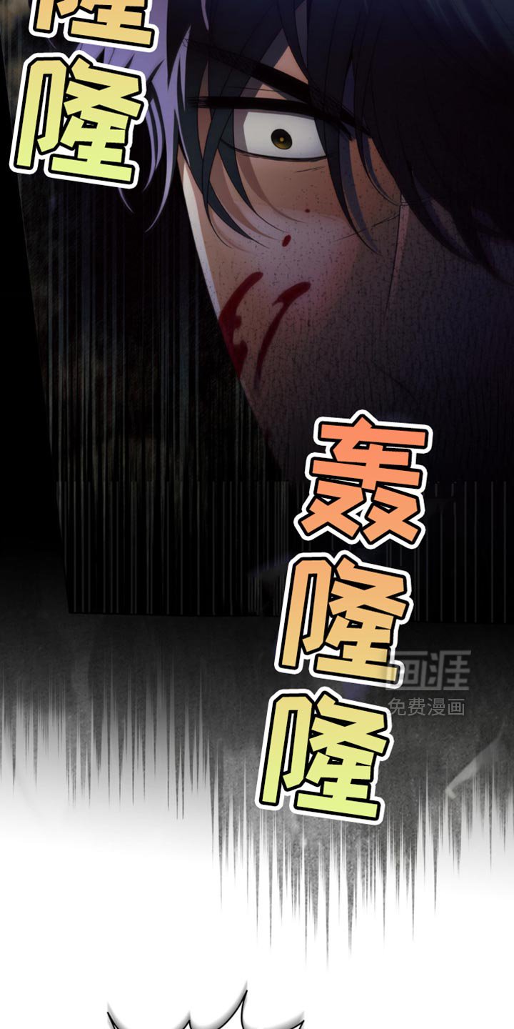 第17章：选择