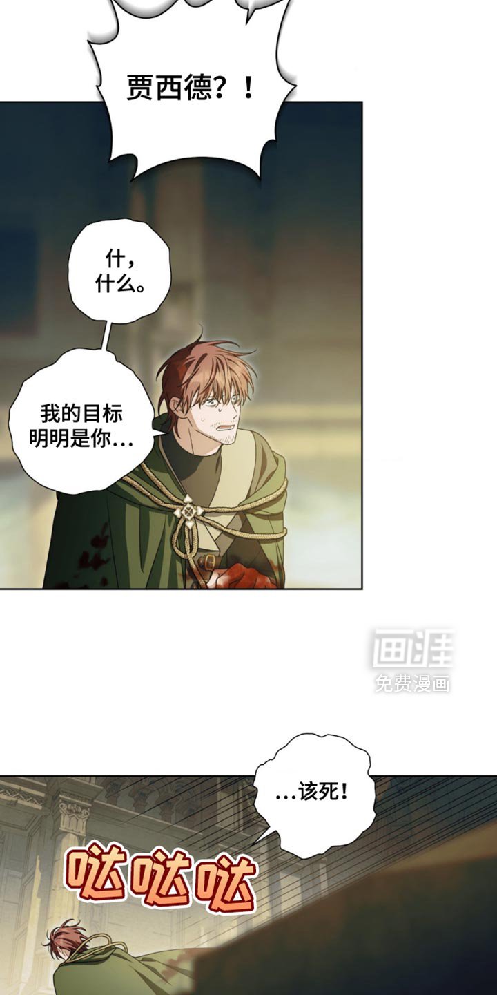 第17章：选择