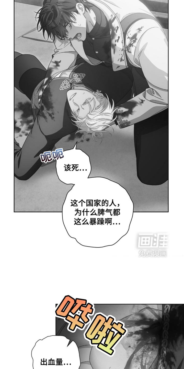 第17章：选择