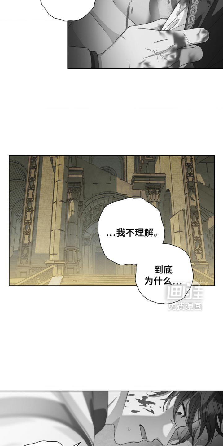 第17章：选择