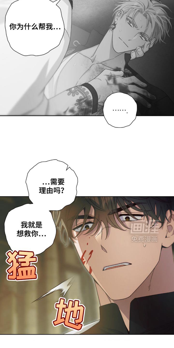 第17章：选择
