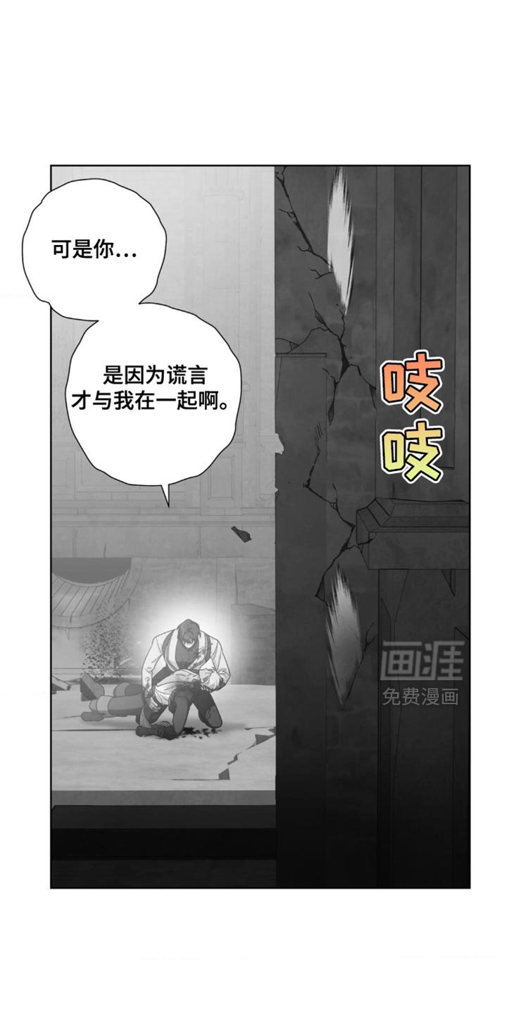 第17章：选择