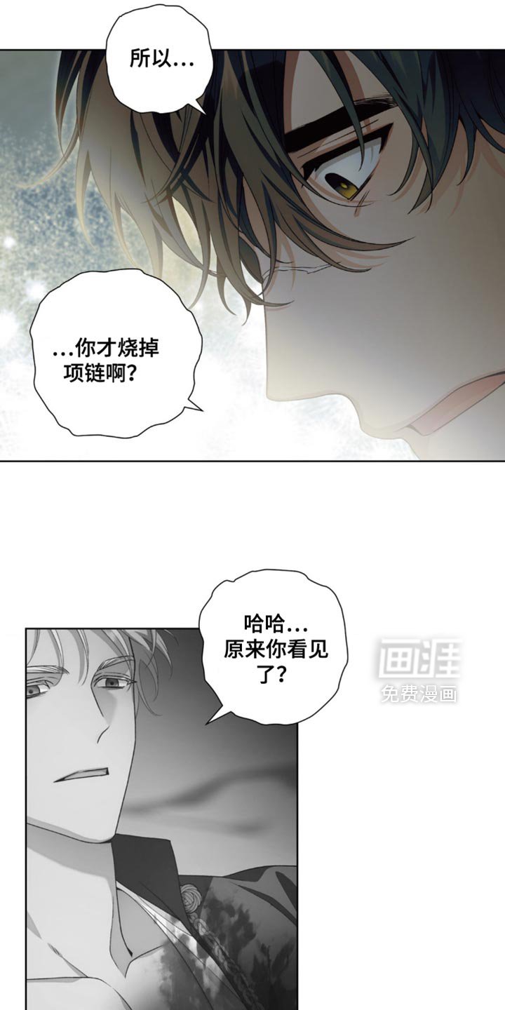 第17章：选择