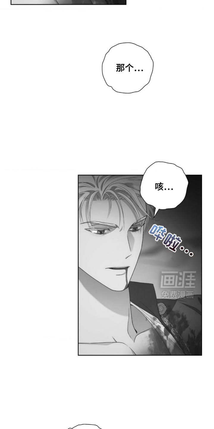 第17章：选择