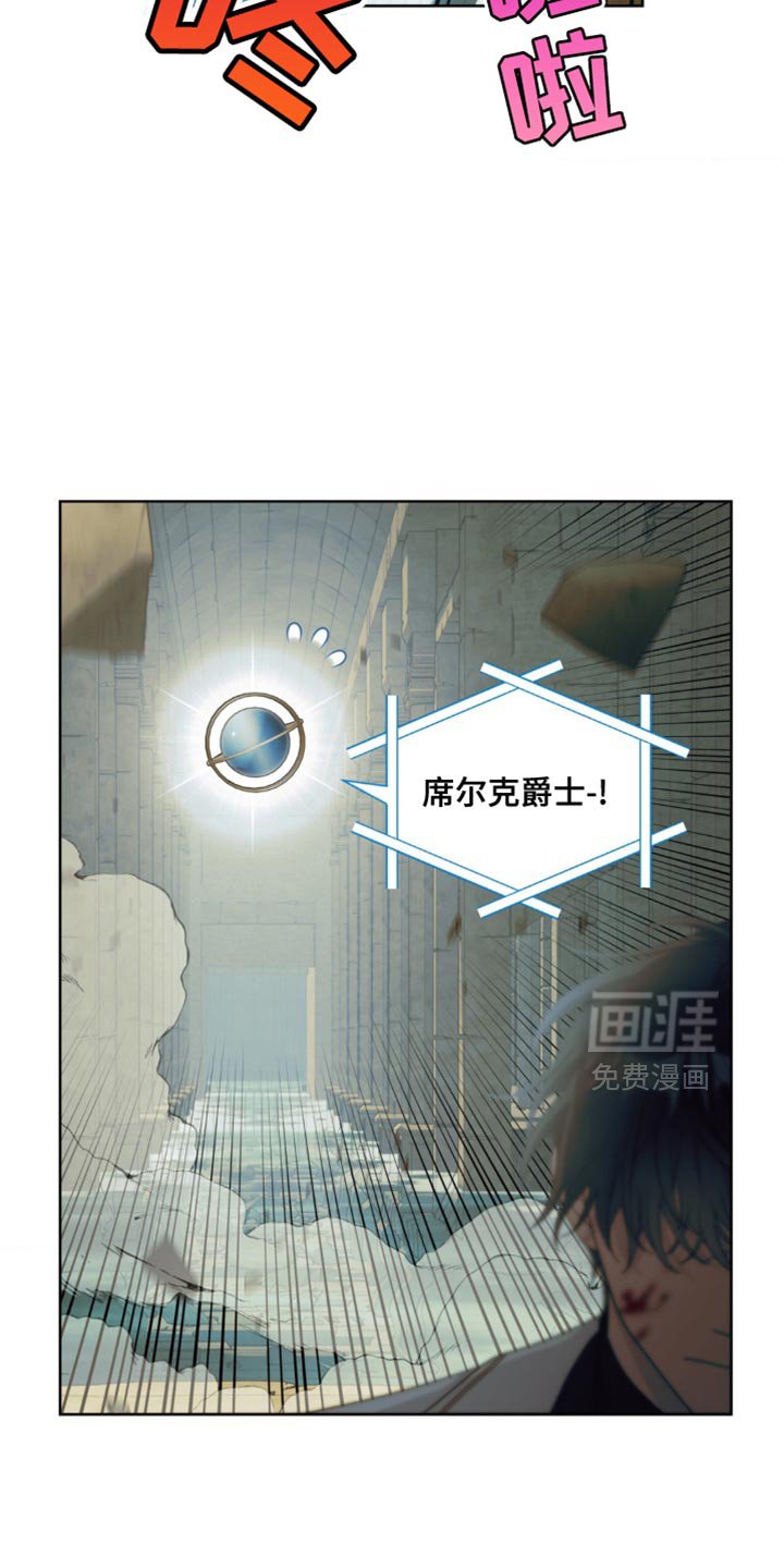 第17章：选择