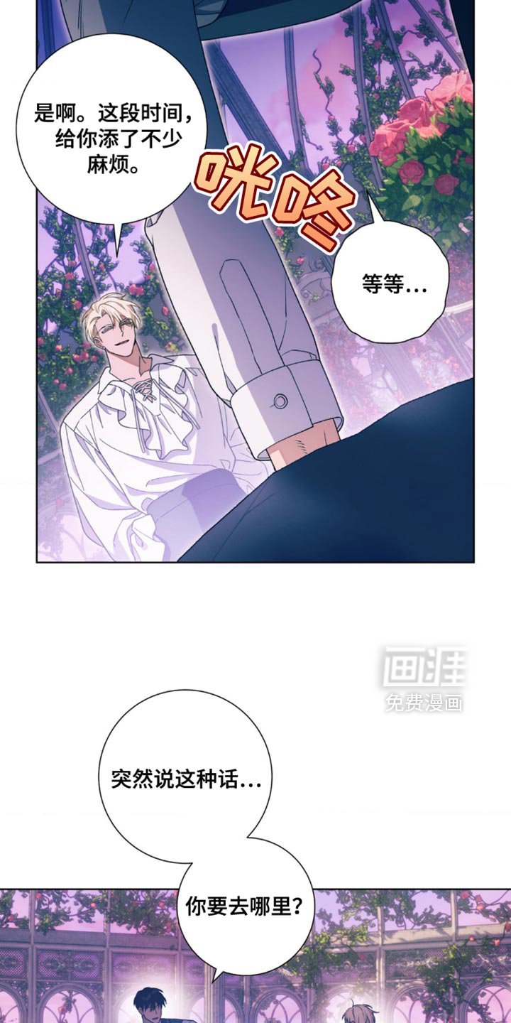 第19章：现在轮到我了