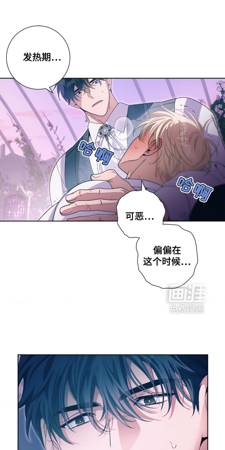 第19章：现在轮到我了