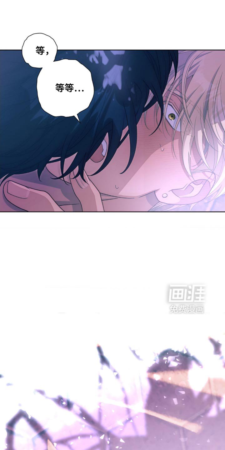 第19章：现在轮到我了