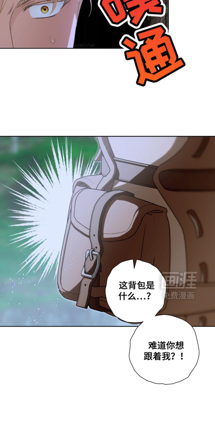 第21章：不可思议