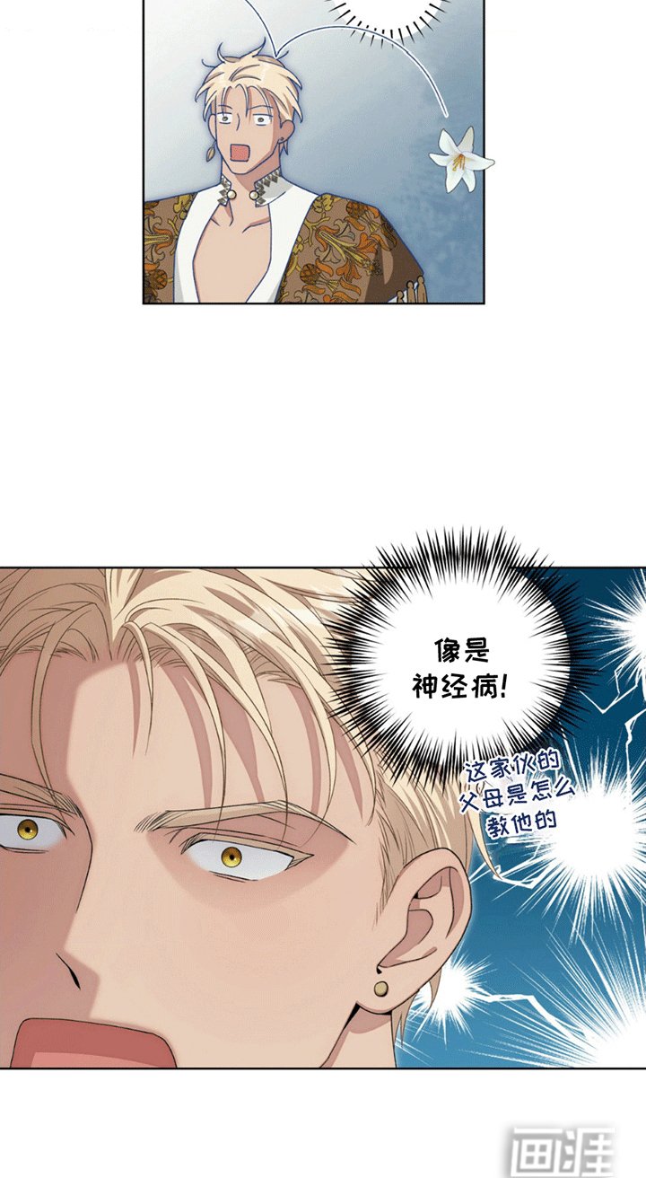 第6章：奇怪的脑回路