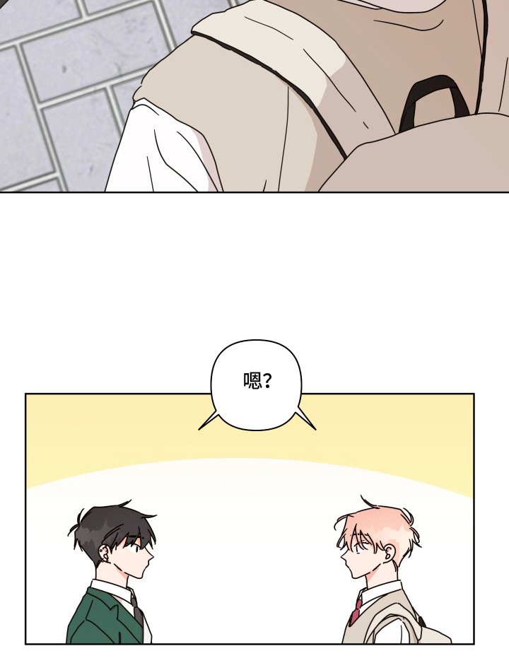 第20章：什么情况