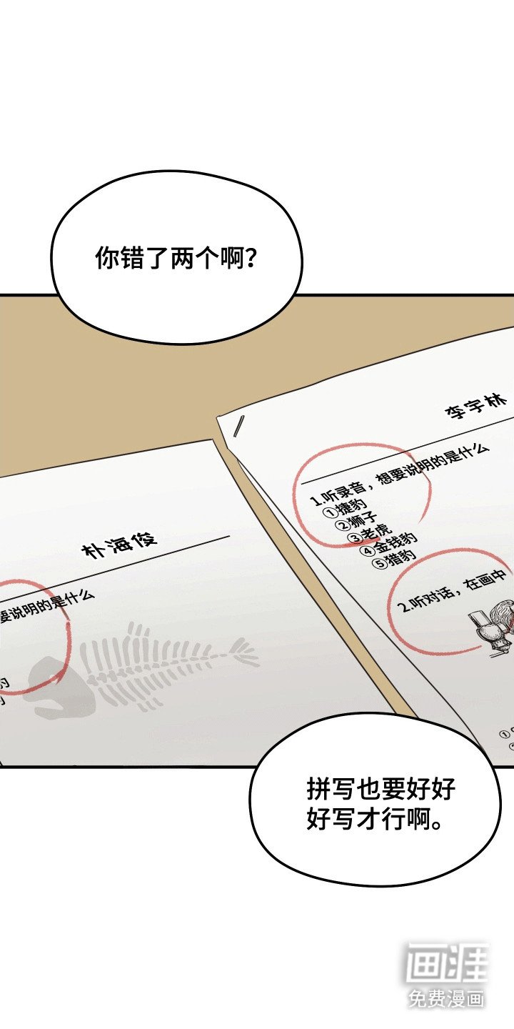 第12章：打击