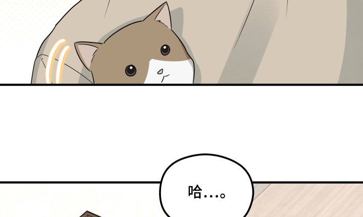 第29章：什么都没有