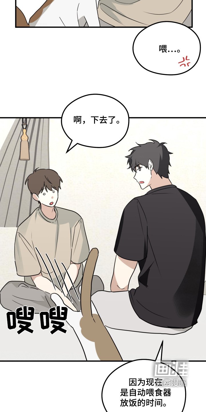 第29章：什么都没有