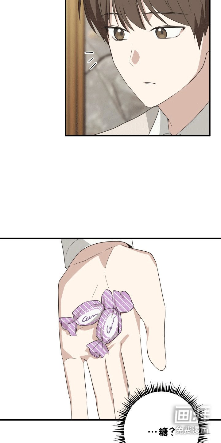 第5章：对策