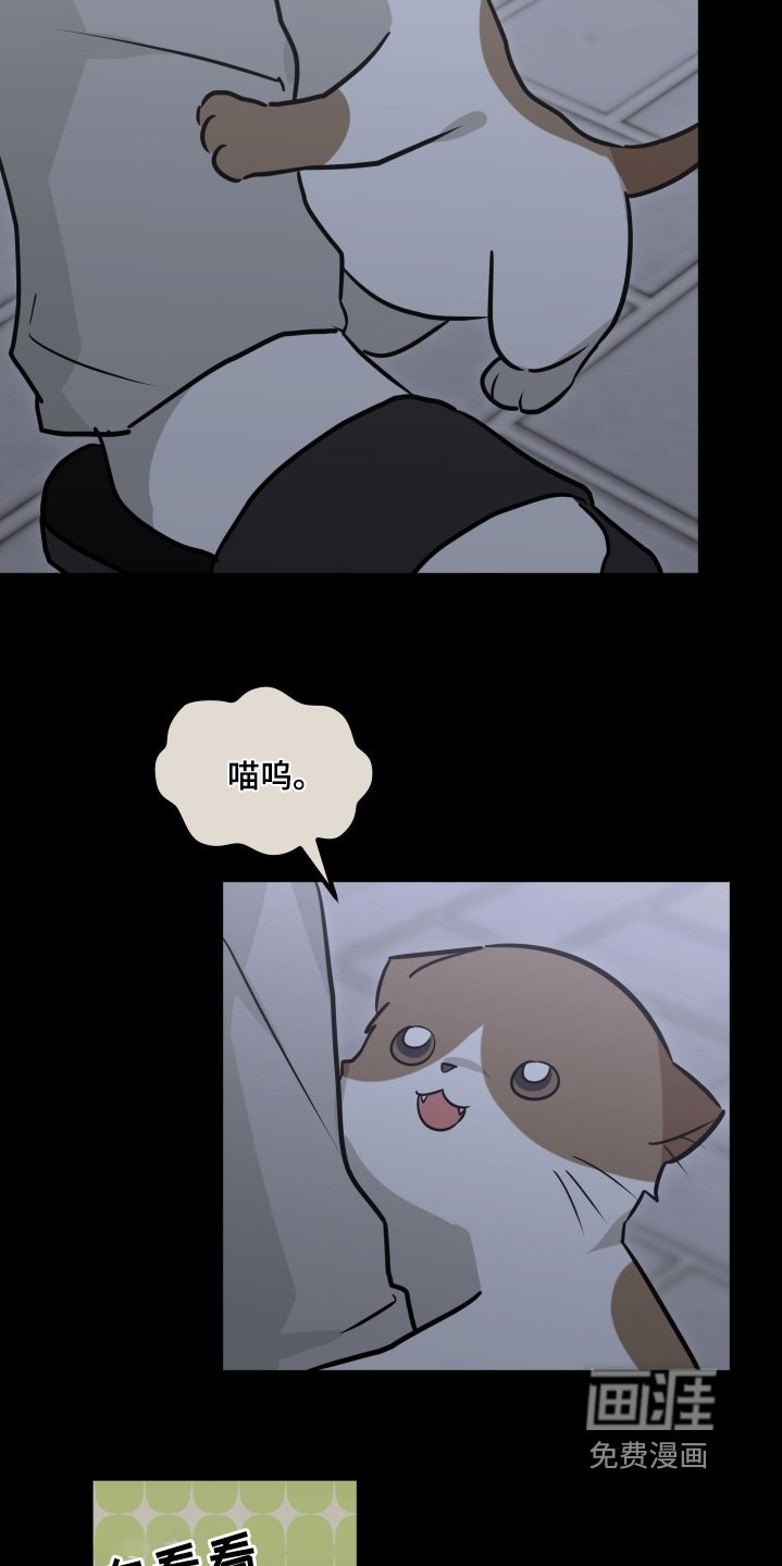 第51章：他忘了