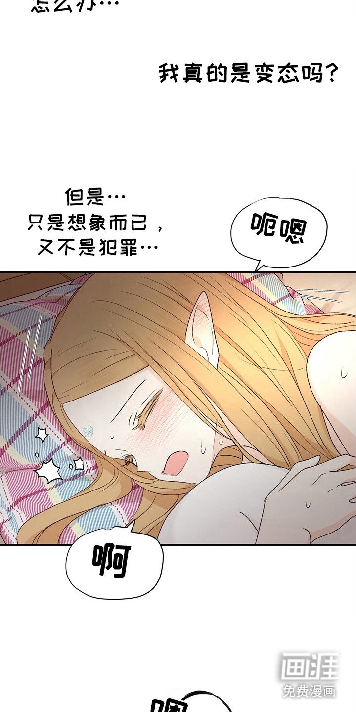 第12章：幻想
