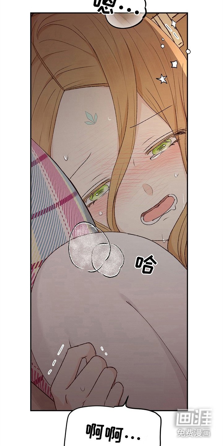 第12章：幻想