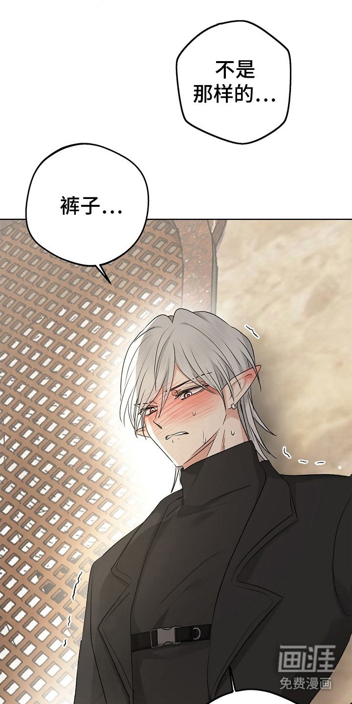 第17章：穿不上