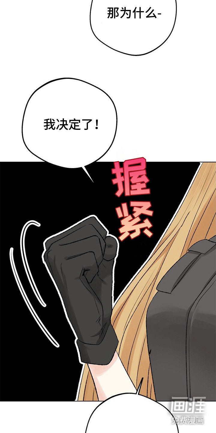 第20章：下决心