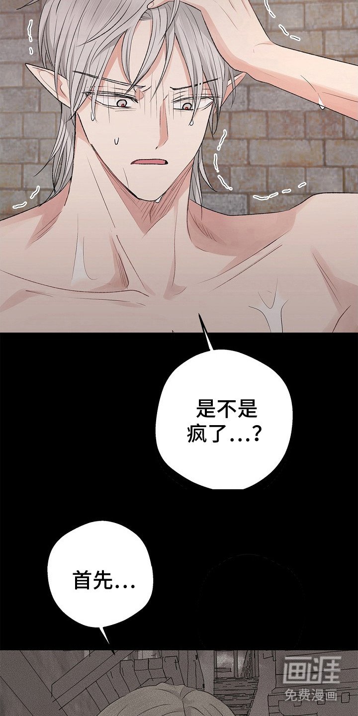 第20章：下决心