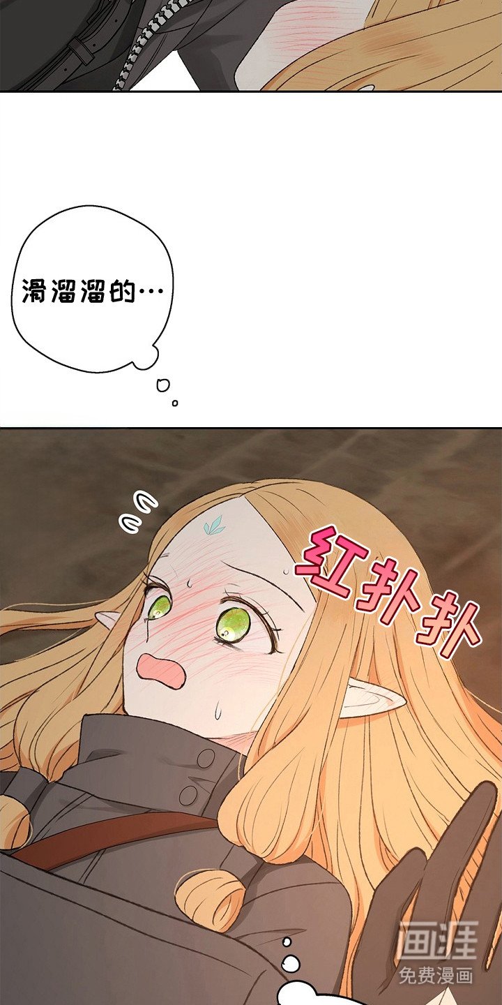 第6章：无奈之举